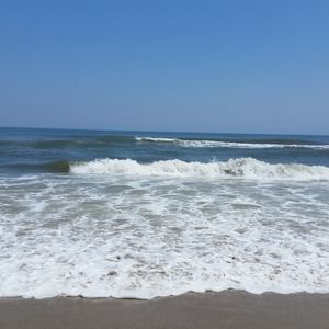 Meet your Posher, Dawne